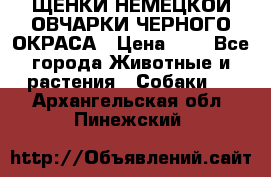 ЩЕНКИ НЕМЕЦКОЙ ОВЧАРКИ ЧЕРНОГО ОКРАСА › Цена ­ 1 - Все города Животные и растения » Собаки   . Архангельская обл.,Пинежский 